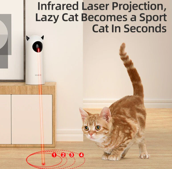 Buddy & Daisy’s Smart Laser Toy