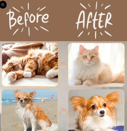 Perfect Steam Brush: A Spa Day for Your Pet!"