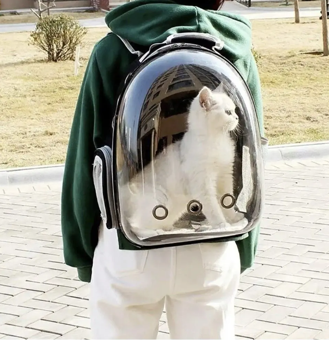 Buddy & Daisy's Space Capsule Pet Backpack