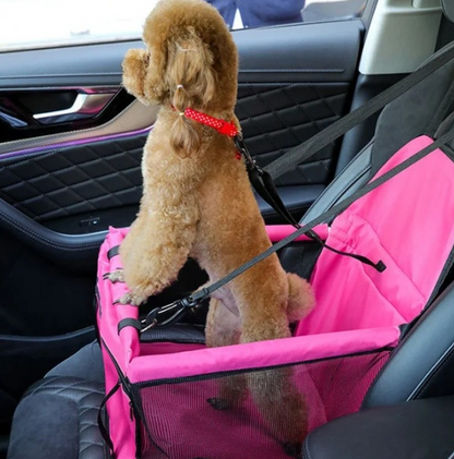 Buddy & Daisy's Pet Car Safety Seat.