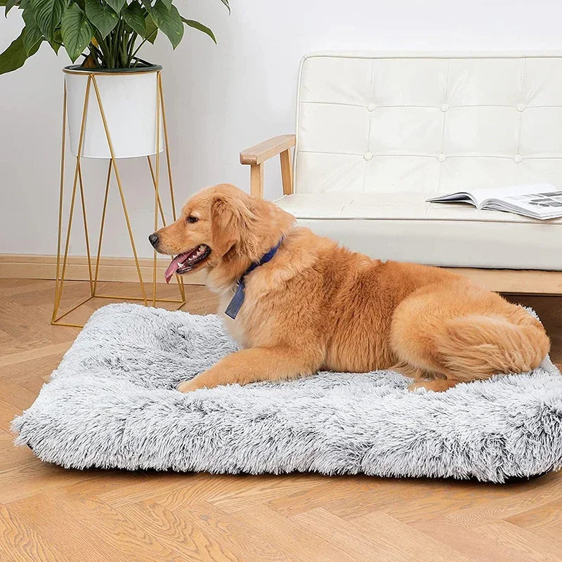 SleepyPup Deluxe Dog Mattress